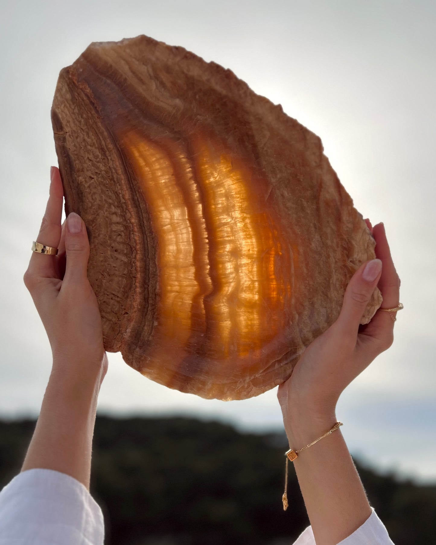 Schale Zora in der Farbe Honey vor Sonnenlicht